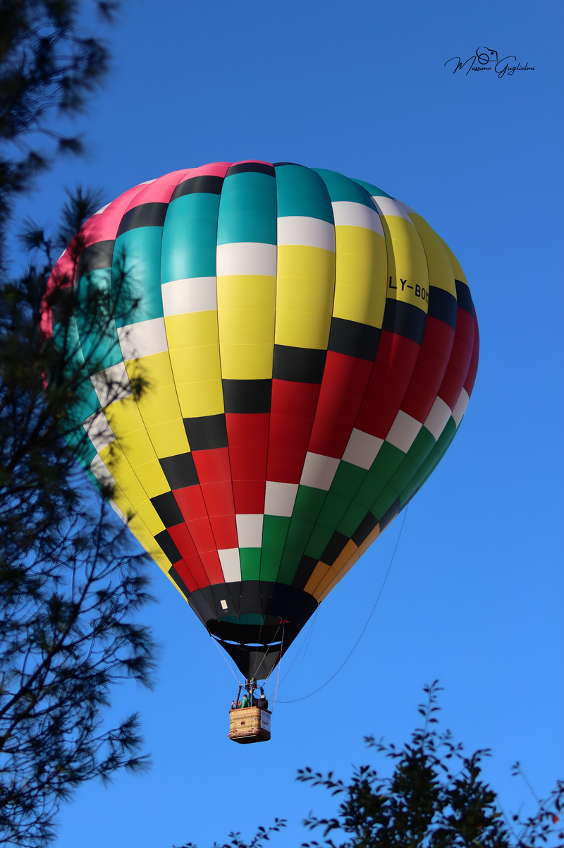 Il fascino del volo tra mille colori