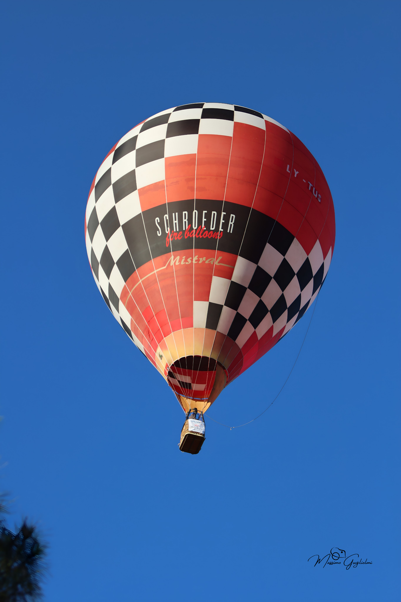 Il fascino del volo tra mille colori