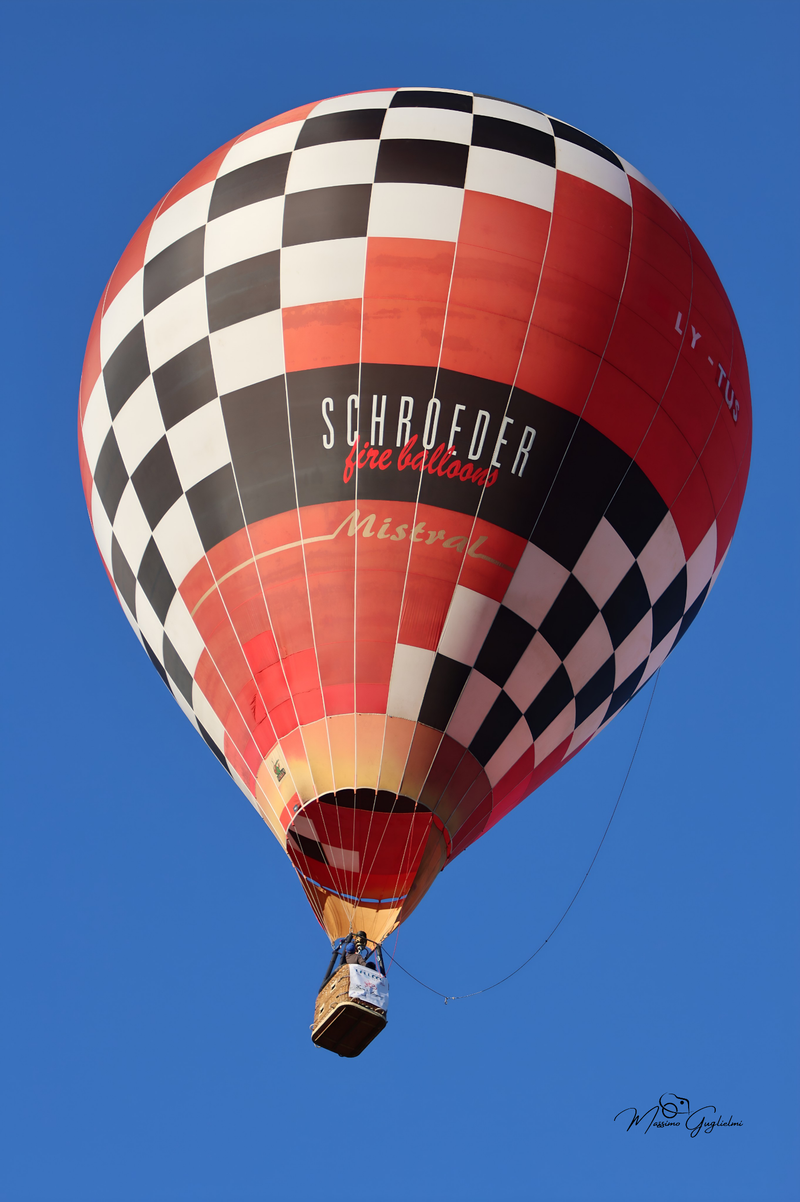 Il fascino del volo tra mille colori
