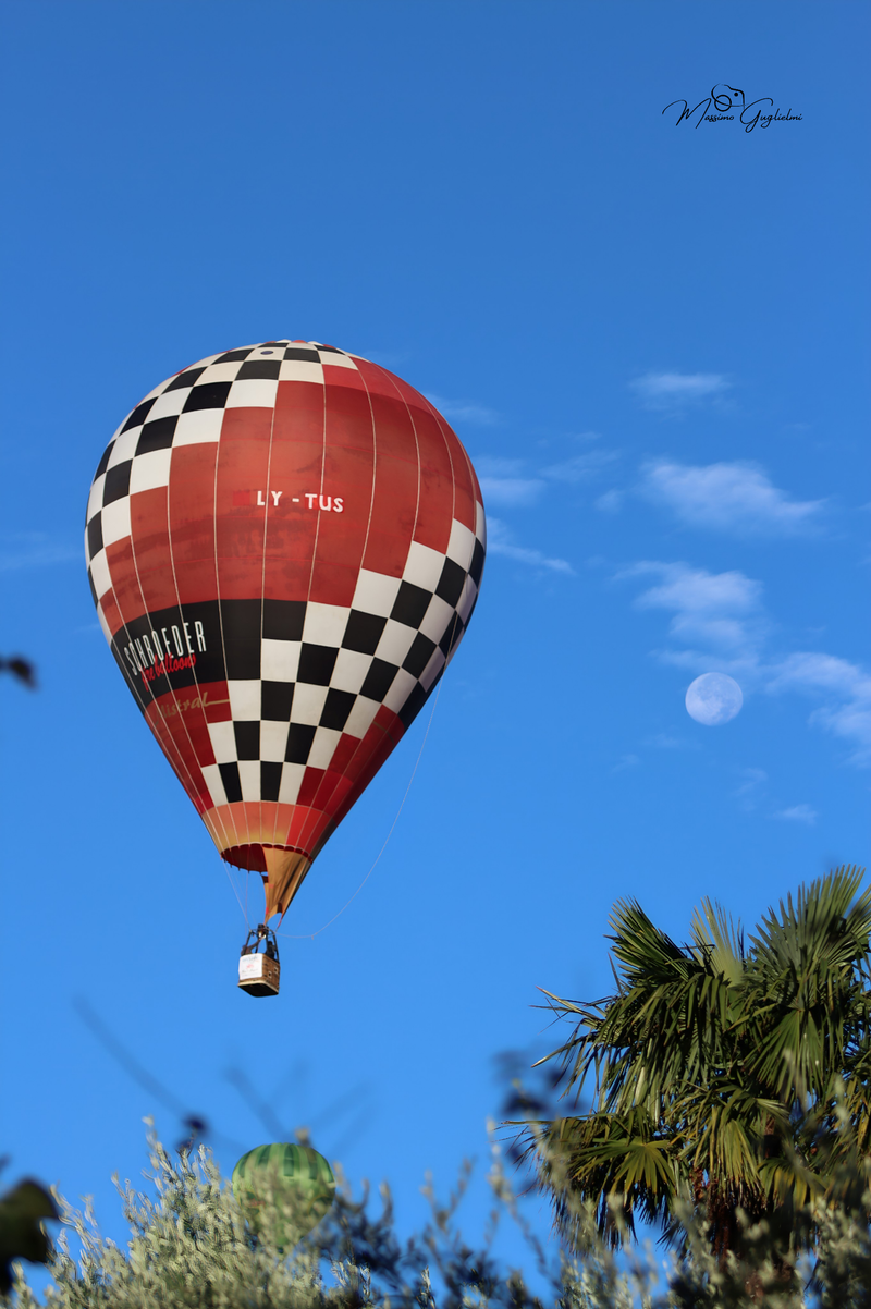 Il fascino del volo tra mille colori