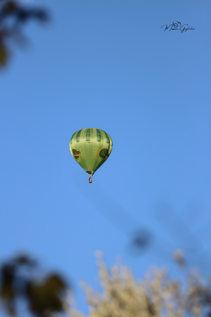 Il fascino del volo tra mille colori