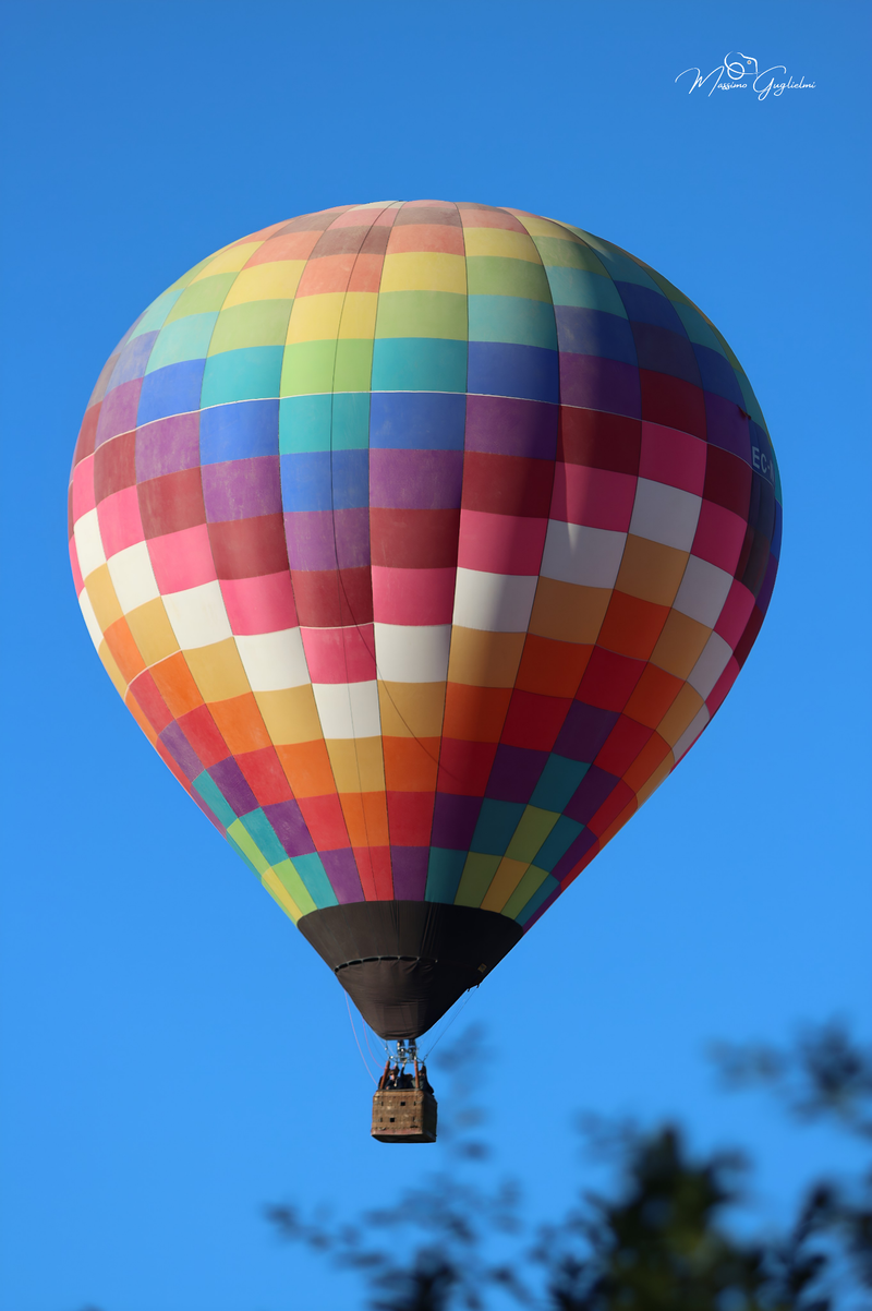 Il fascino del volo tra mille colori