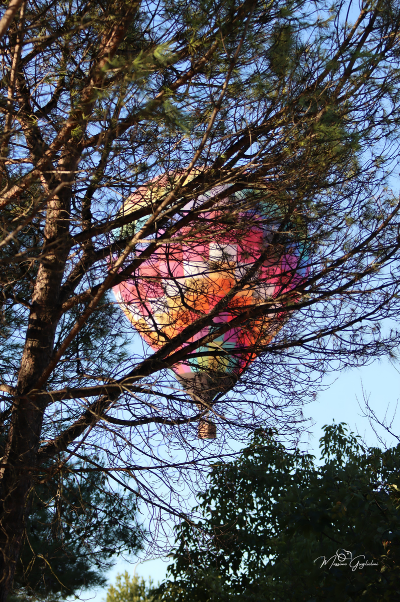 Il fascino del volo tra mille colori
