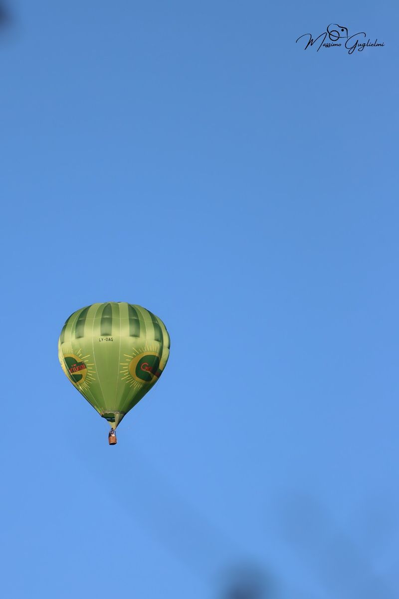 Il fascino del volo tra mille colori