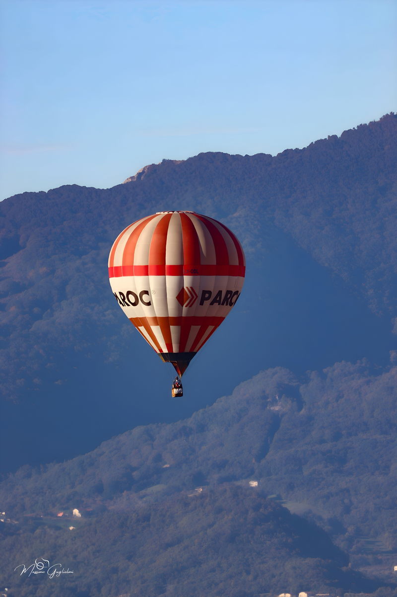 Il fascino del volo tra mille colori