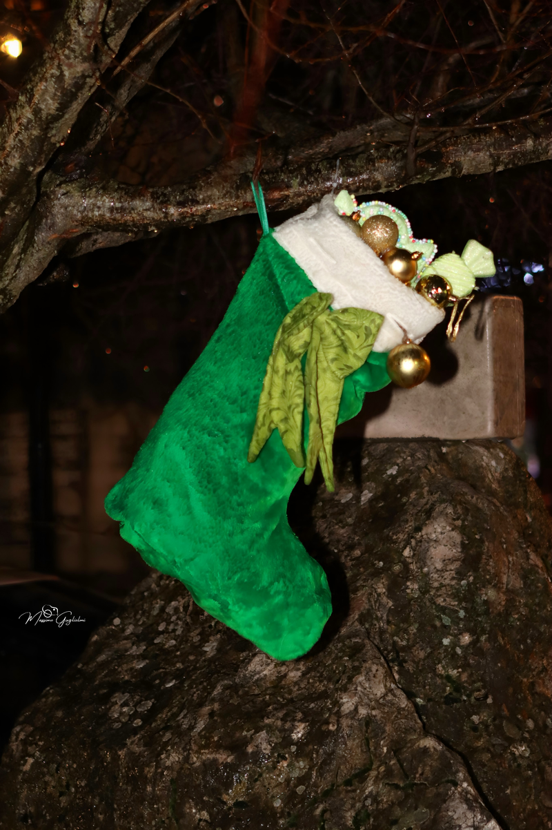 Atmosfere uniche in un luogo incantato