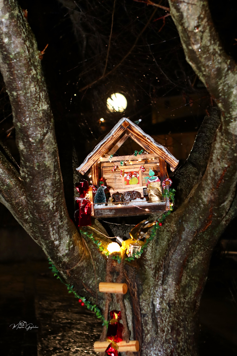 Atmosfere uniche in un luogo incantato