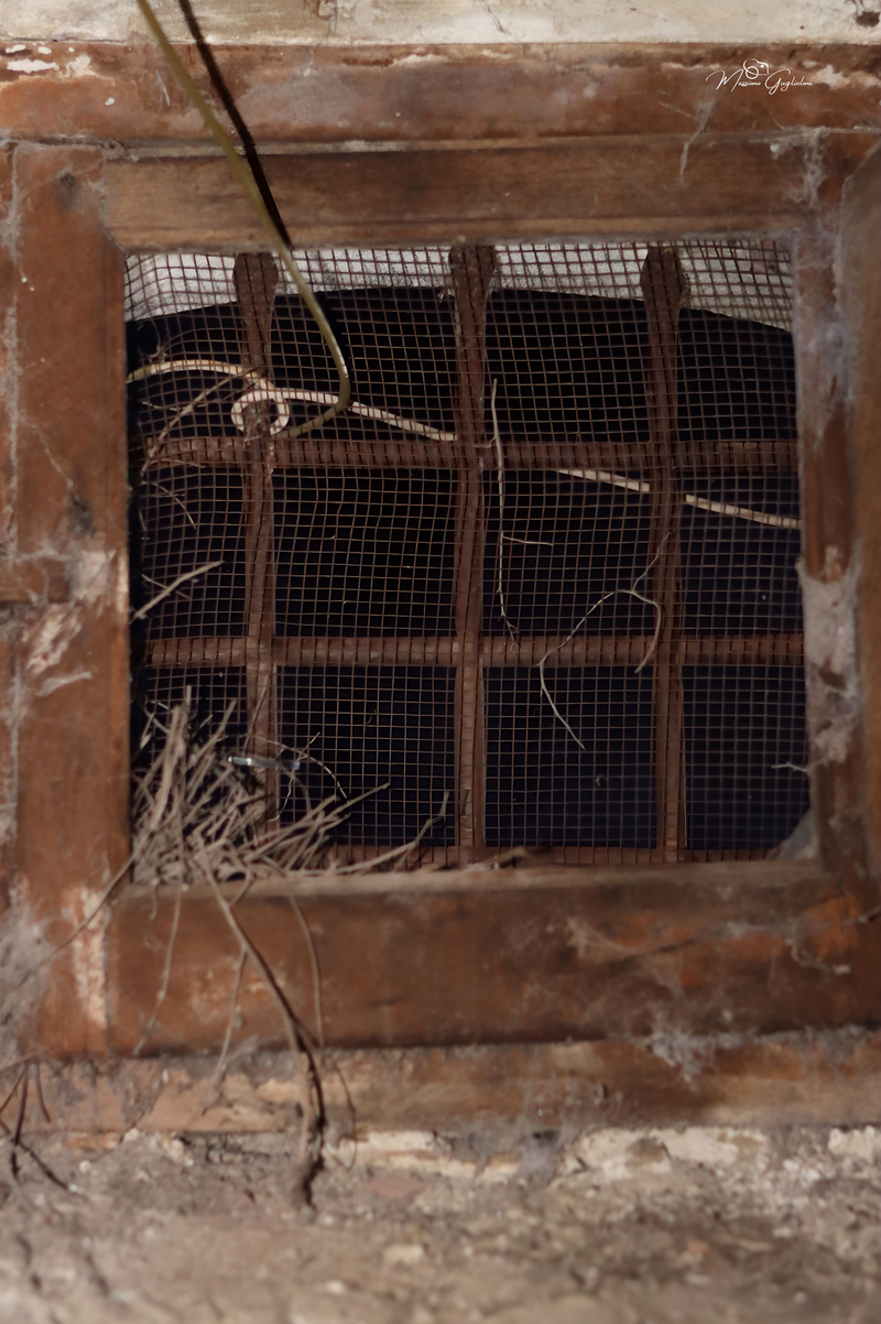 Atmosfere uniche in un luogo incantato