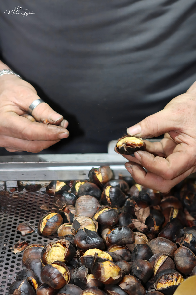 IL NATALE SUI DUE CORSI PRINCIPALI AD ISERNIA