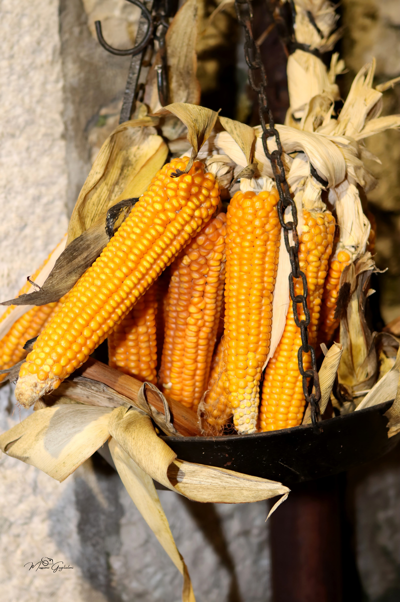 UNA EDIZIONE DAVVERO SPECIALE