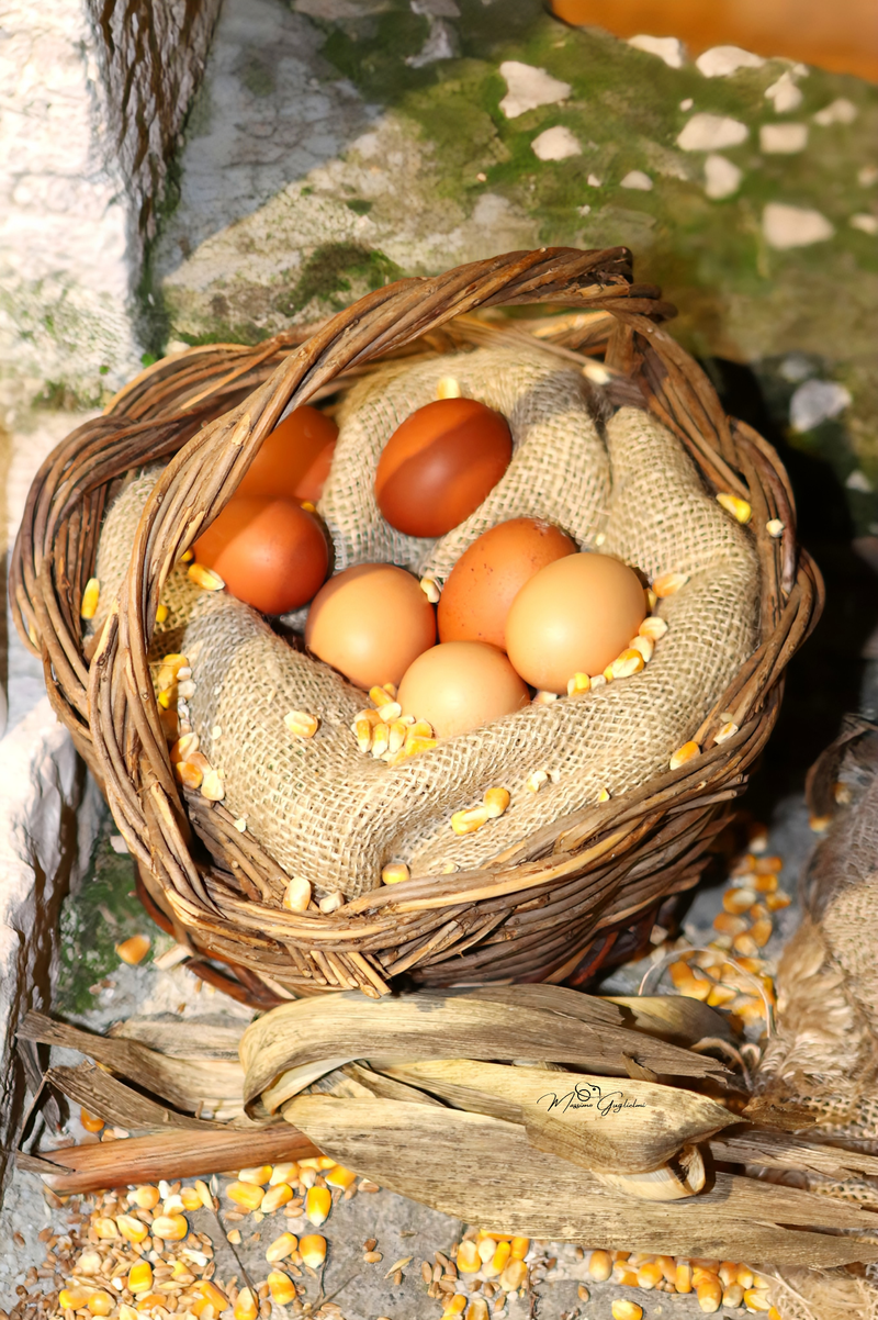 UNA EDIZIONE DAVVERO SPECIALE