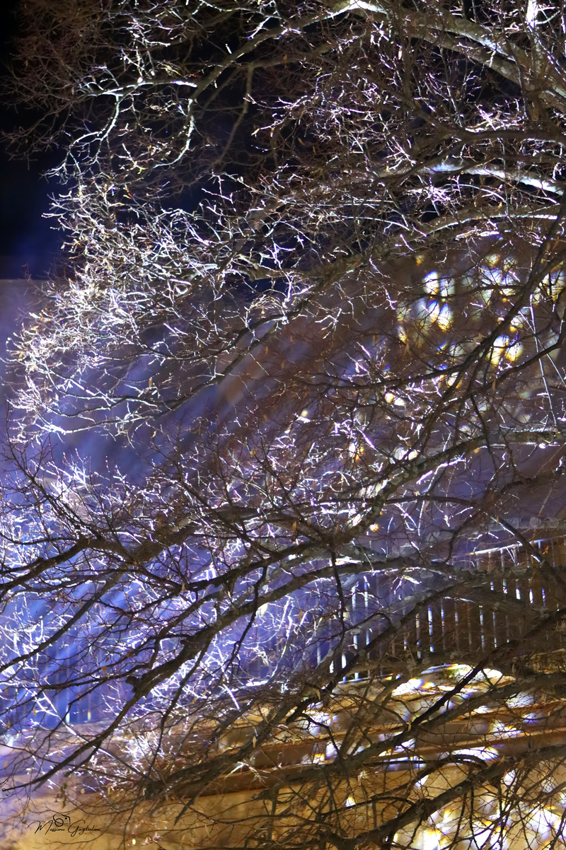 UNA EDIZIONE DAVVERO SPECIALE