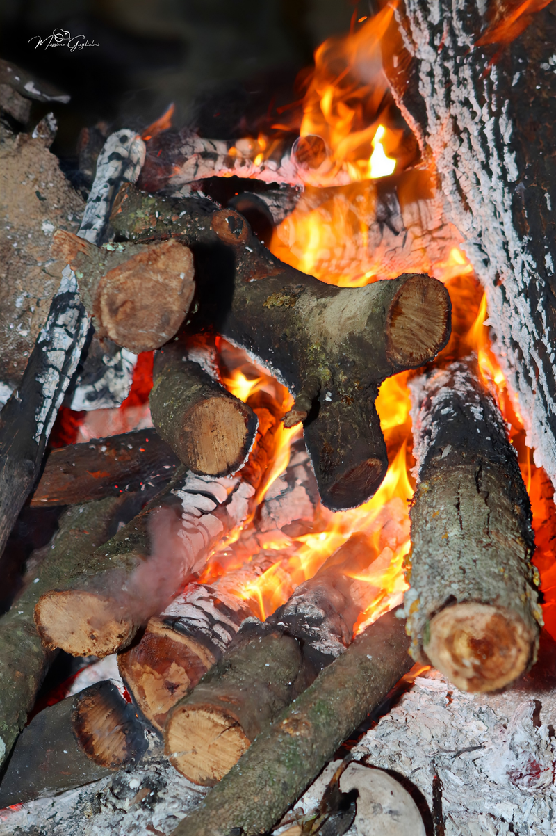 UNA EDIZIONE DAVVERO SPECIALE