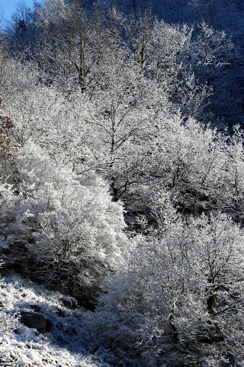 Il Molise terra incantevole