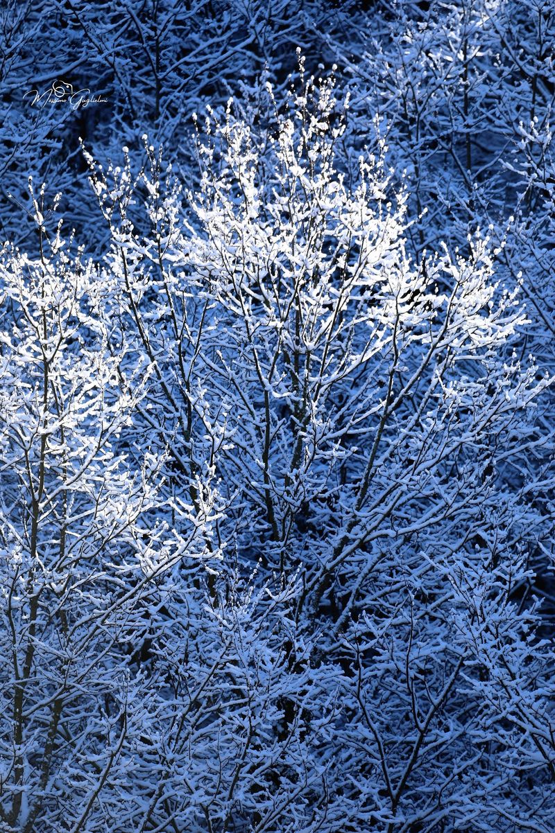 Il Molise terra incantevole