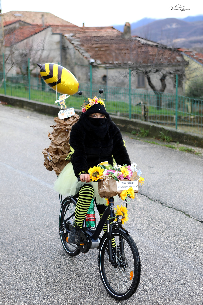 Colori Musica Allegria