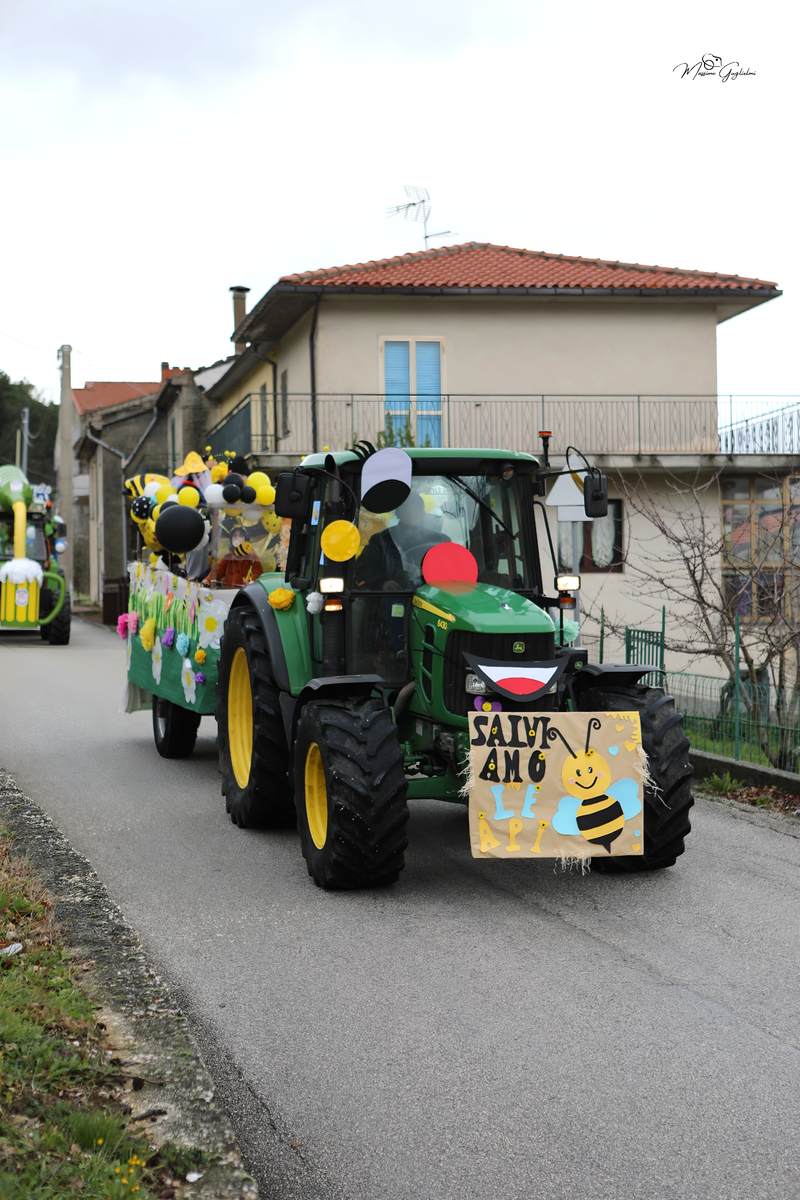 Colori Musica Allegria