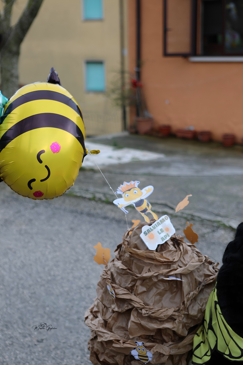 Colori Musica Allegria