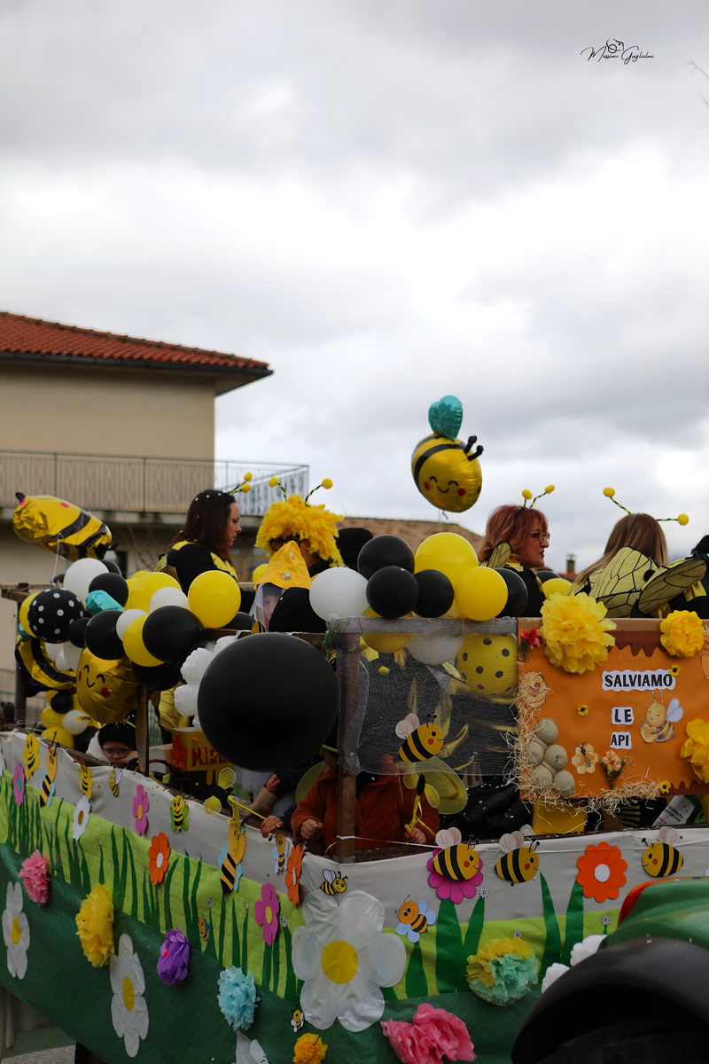 Colori Musica Allegria