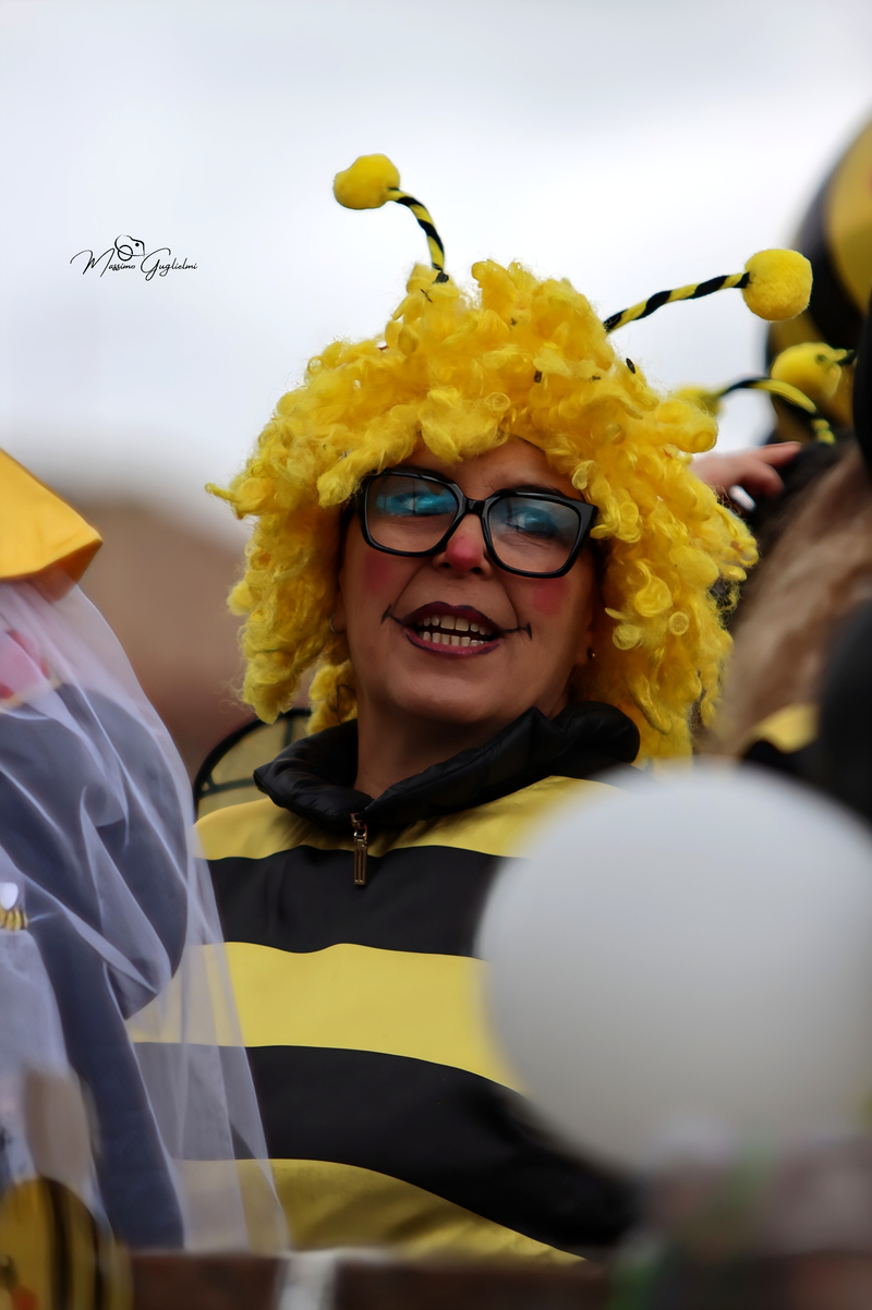 Colori Musica Allegria