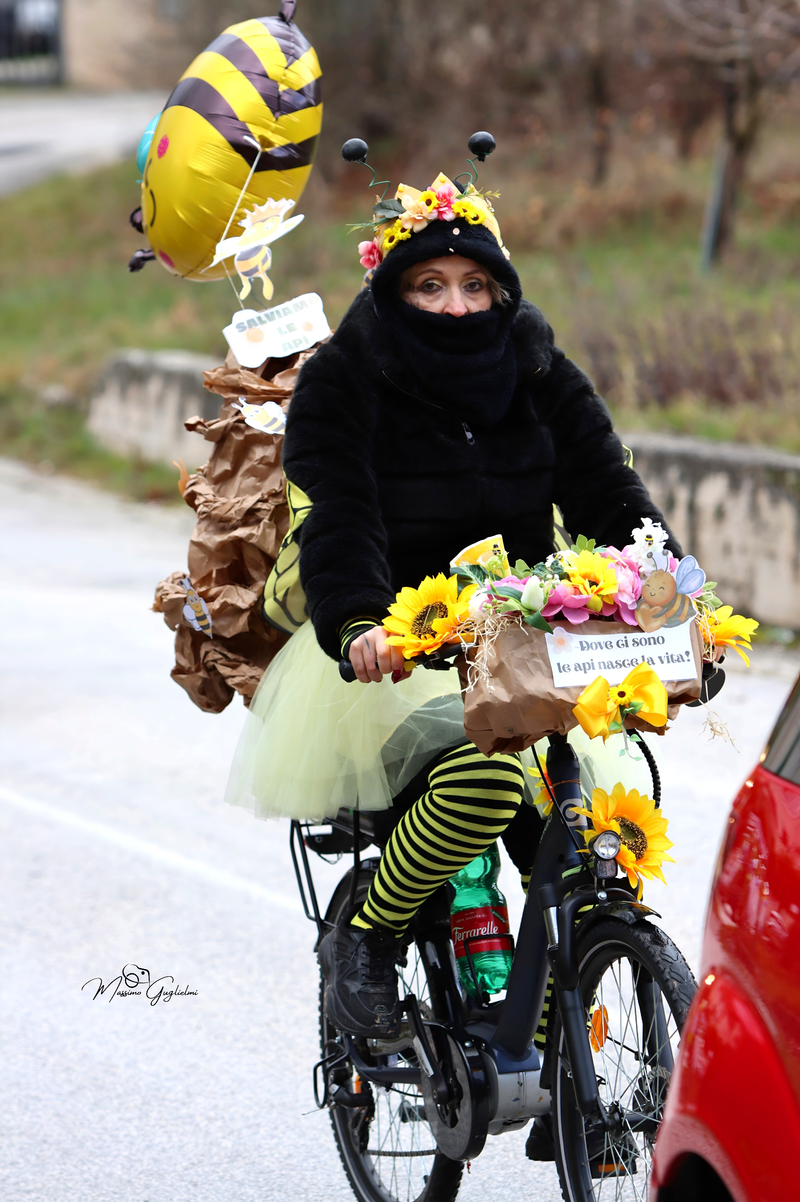 Colori Musica Allegria