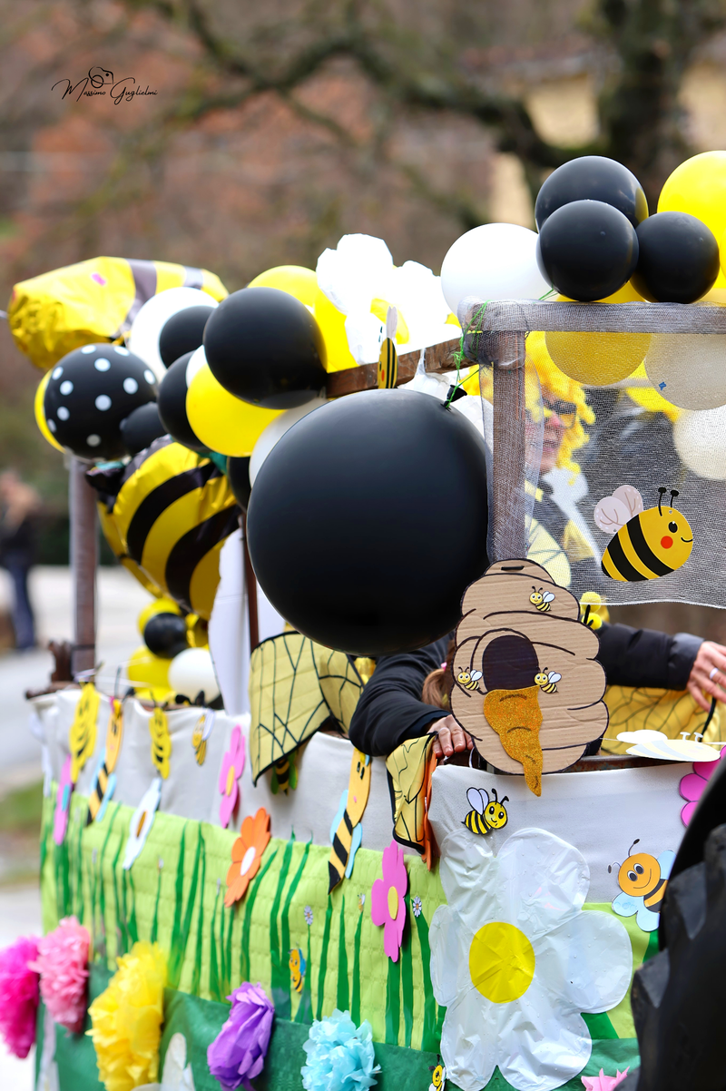 Colori Musica Allegria