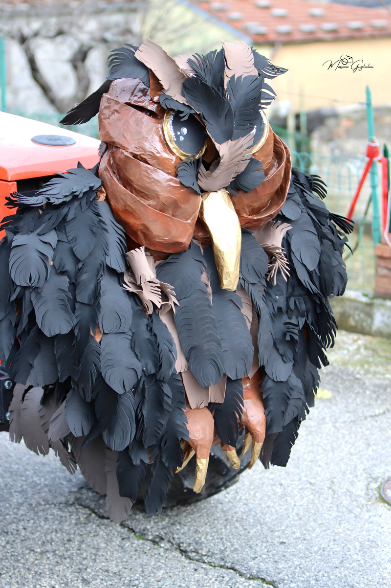 Colori Musica Allegria