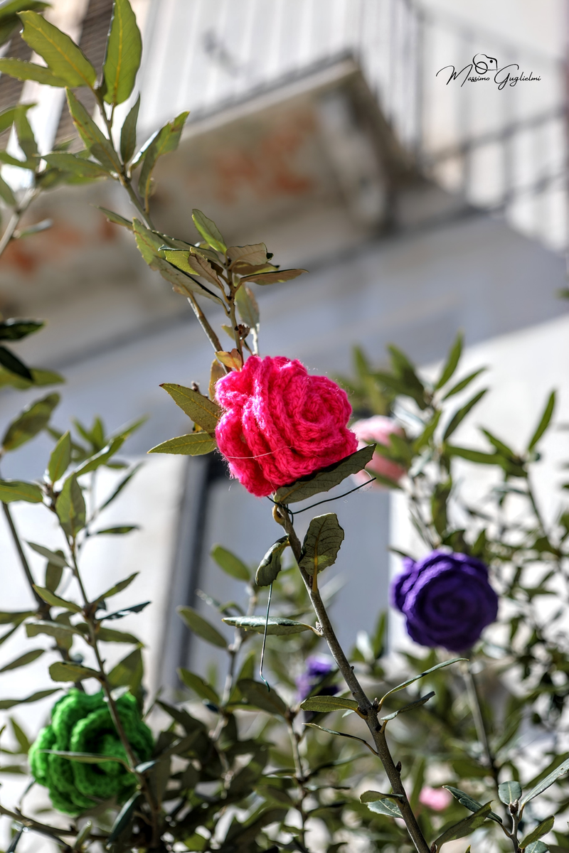 COLORI E MAESTRIA