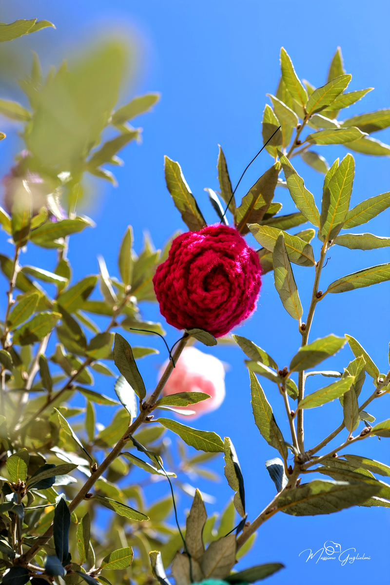 COLORI E MAESTRIA