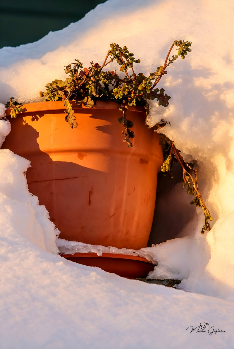 TRE GIORNI DI NEVE TRA IL 31 MARZO ED IL 2 APRILE 2026