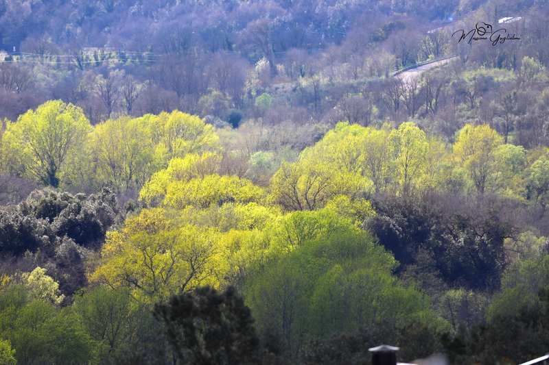 SCORCI E BORGHI DEL MOLISE