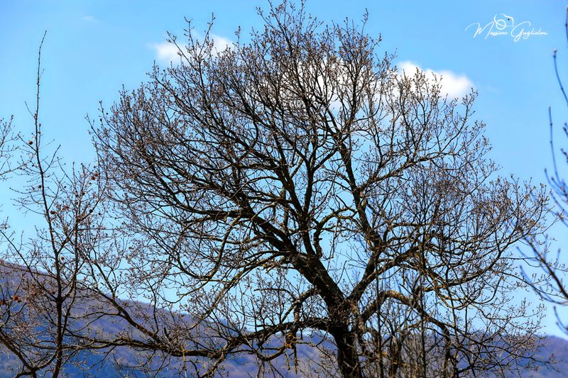 Il paese,il Santuario, il Massiccio del Matese