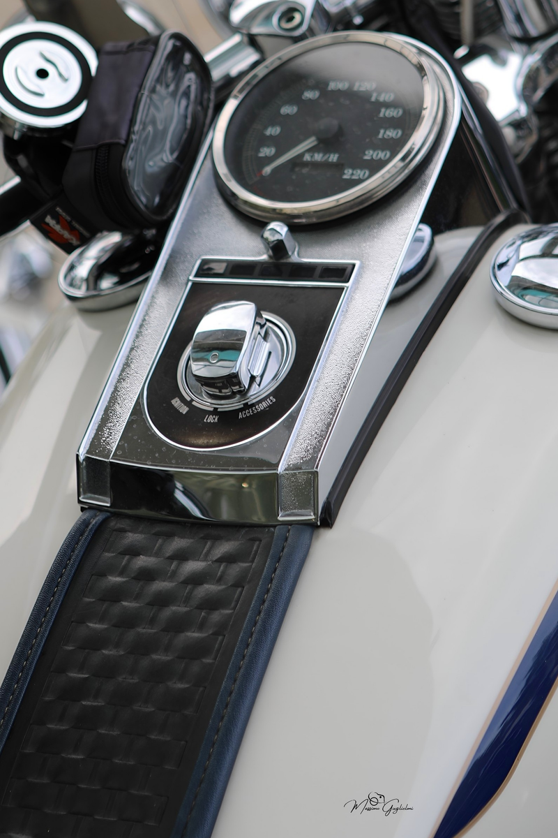 IL FASCINO DELLA HARLEY DAVIDSON
