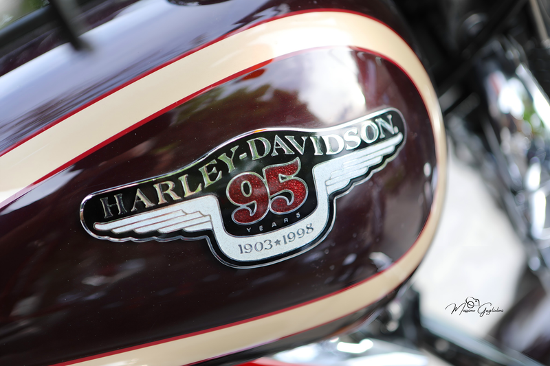 IL FASCINO DELLA HARLEY DAVIDSON
