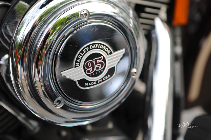 IL FASCINO DELLA HARLEY DAVIDSON