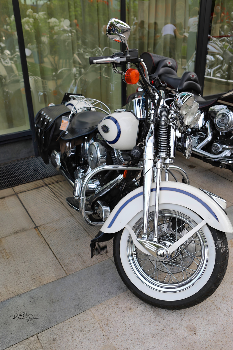 IL FASCINO DELLA HARLEY DAVIDSON