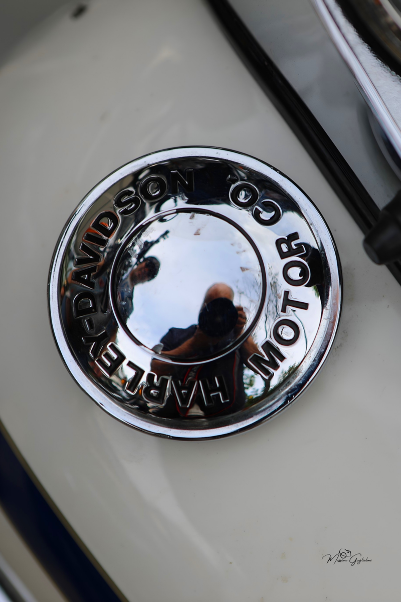 IL FASCINO DELLA HARLEY DAVIDSON