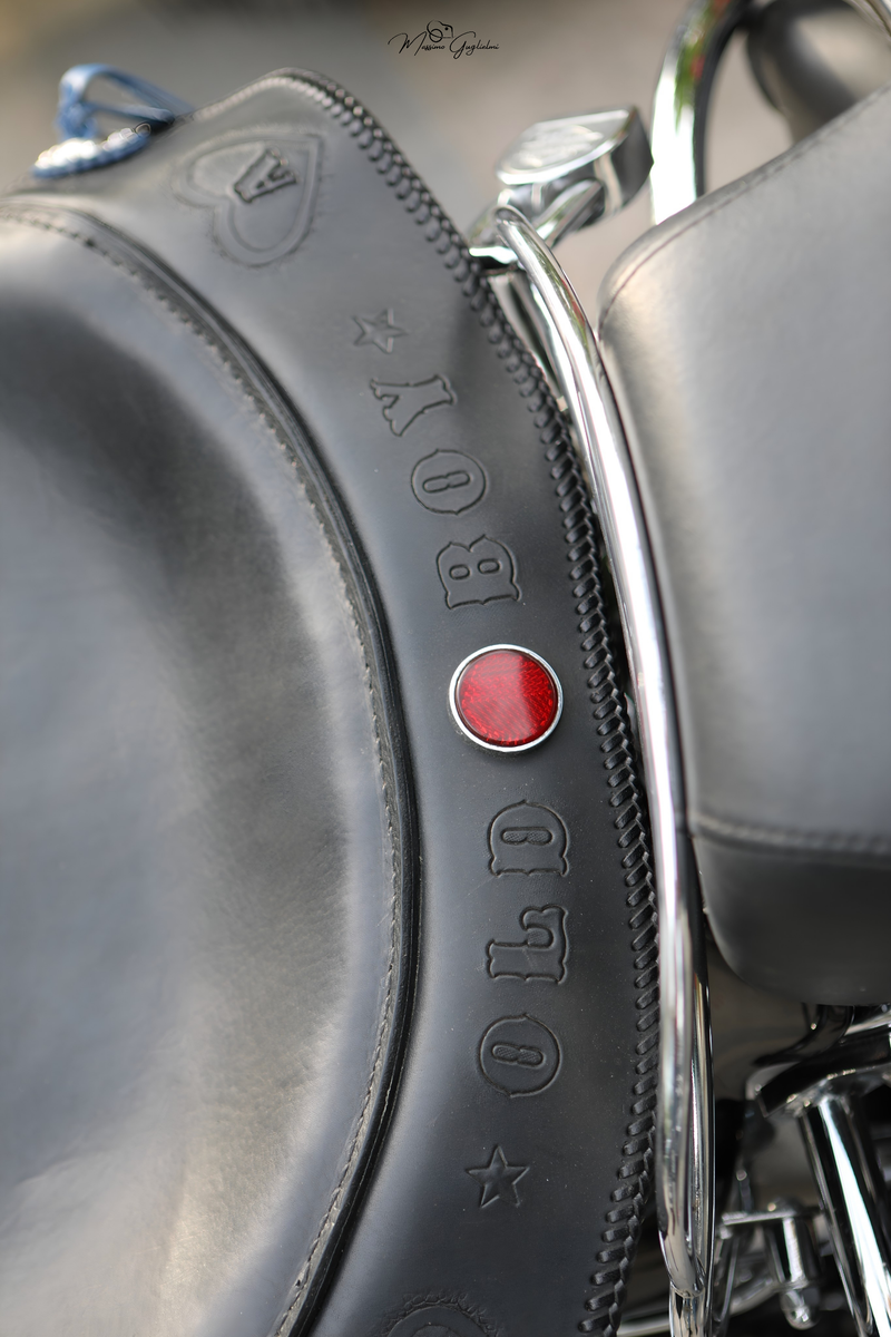 IL FASCINO DELLA HARLEY DAVIDSON
