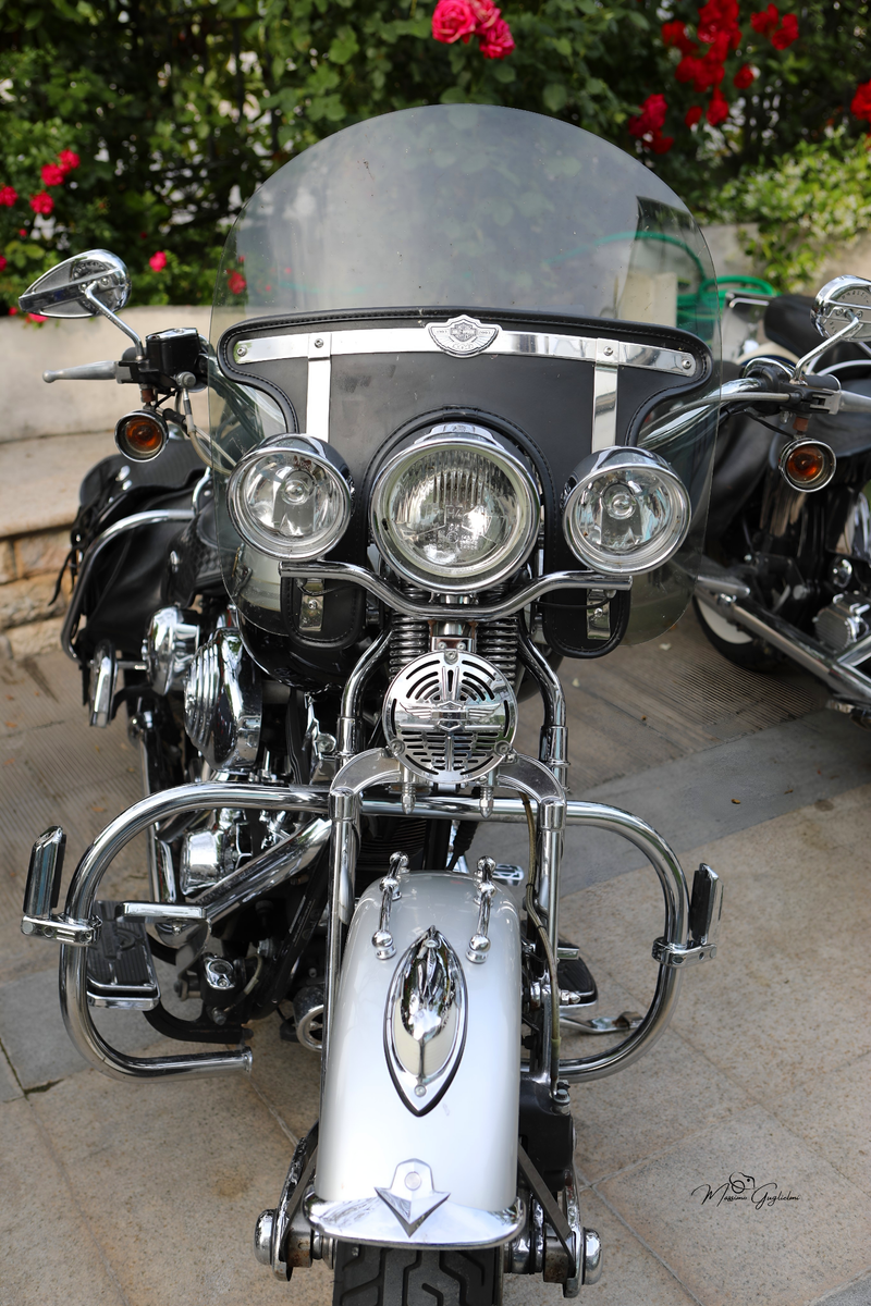 IL FASCINO DELLA HARLEY DAVIDSON