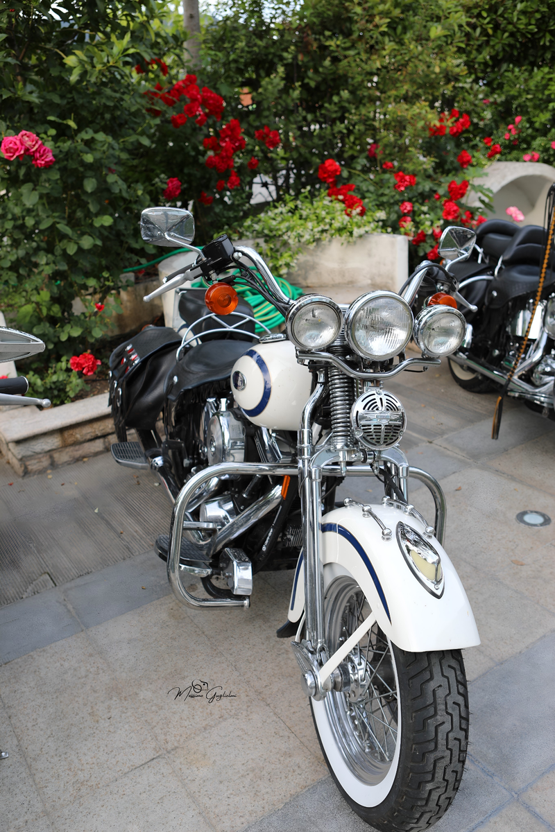 IL FASCINO DELLA HARLEY DAVIDSON