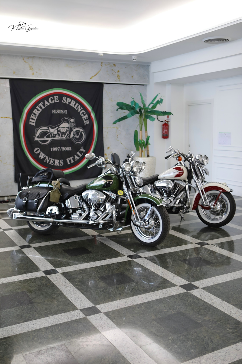IL FASCINO DELLA HARLEY DAVIDSON