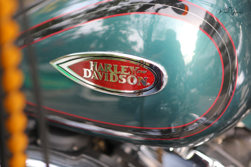 IL FASCINO DELLA HARLEY DAVIDSON