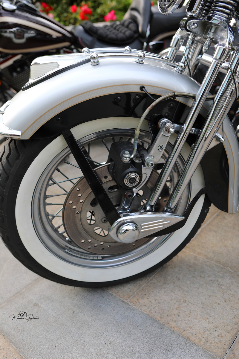 IL FASCINO DELLA HARLEY DAVIDSON