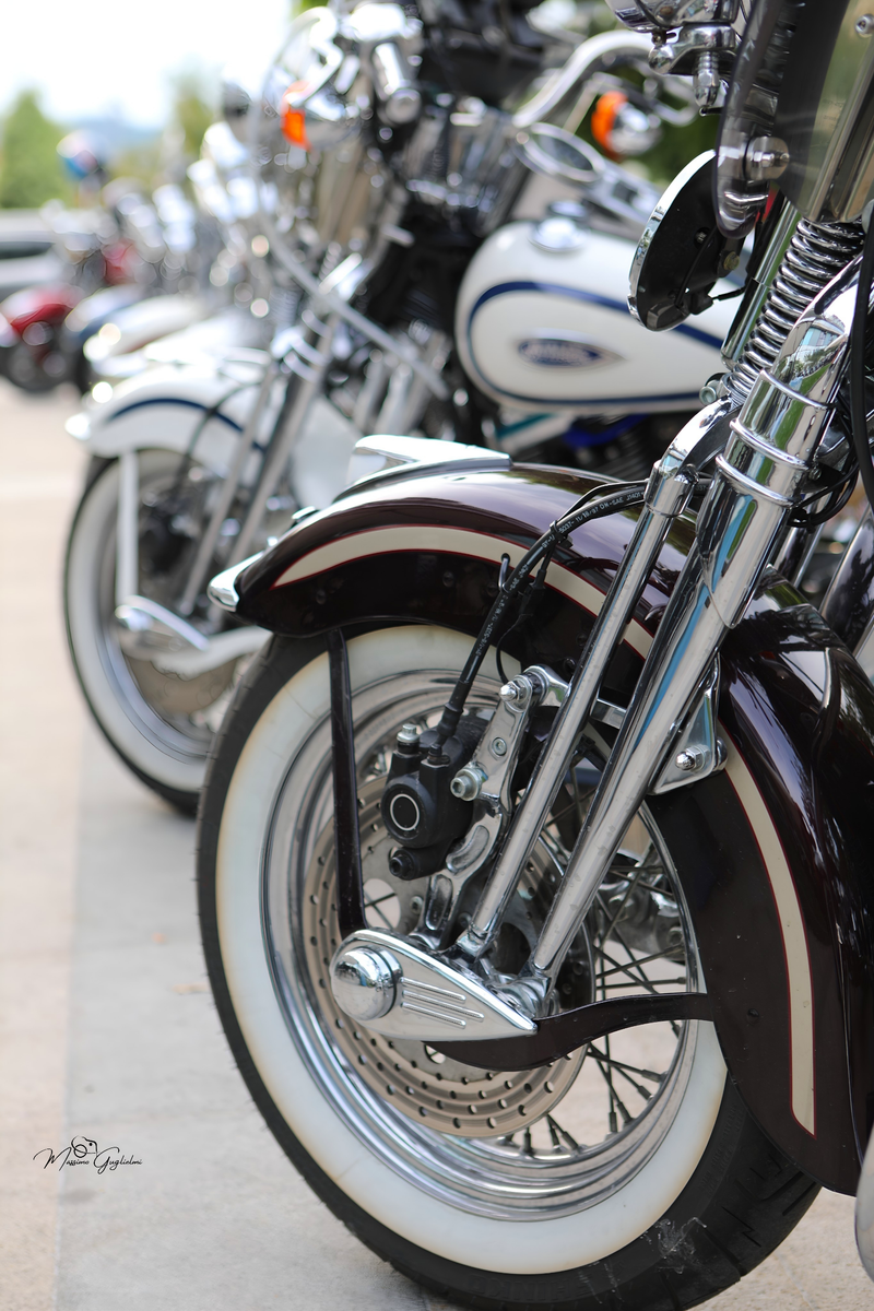 IL FASCINO DELLA HARLEY DAVIDSON