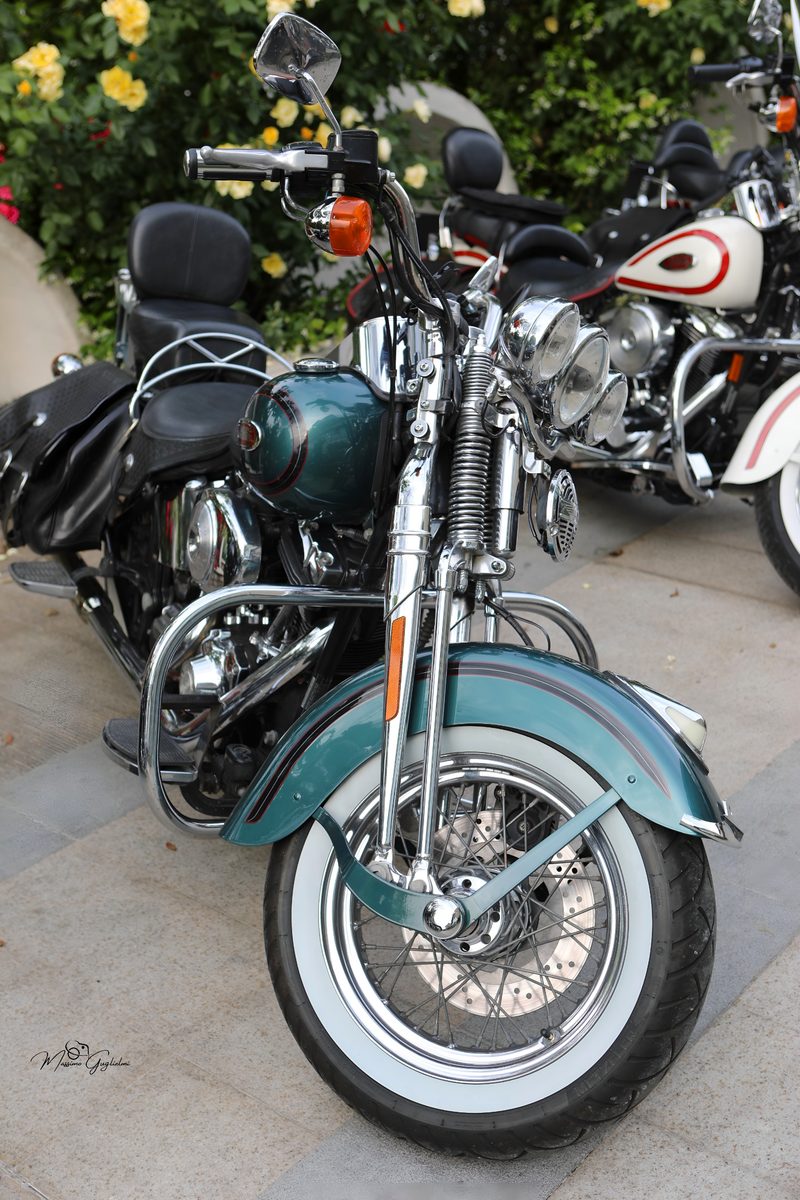 IL FASCINO DELLA HARLEY DAVIDSON