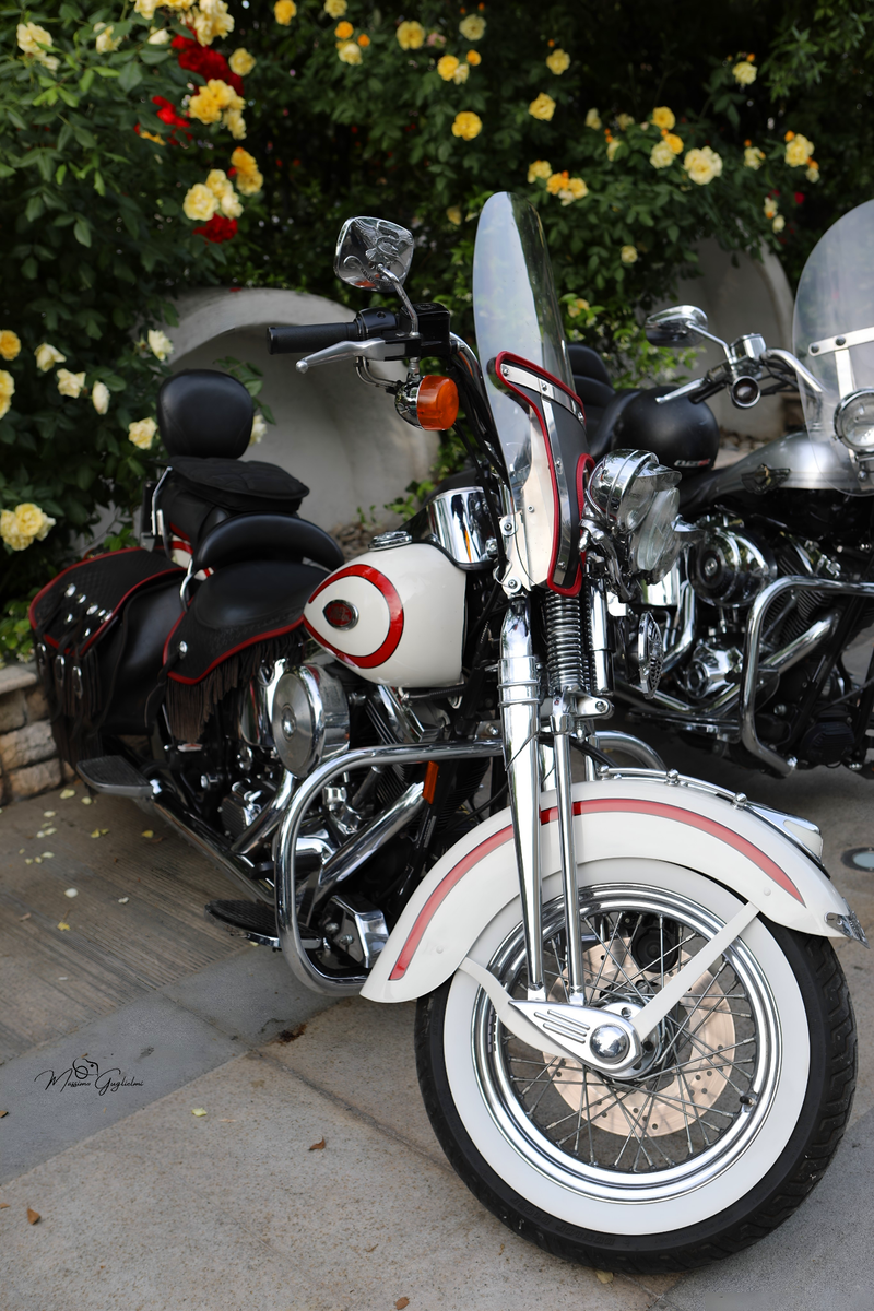 IL FASCINO DELLA HARLEY DAVIDSON