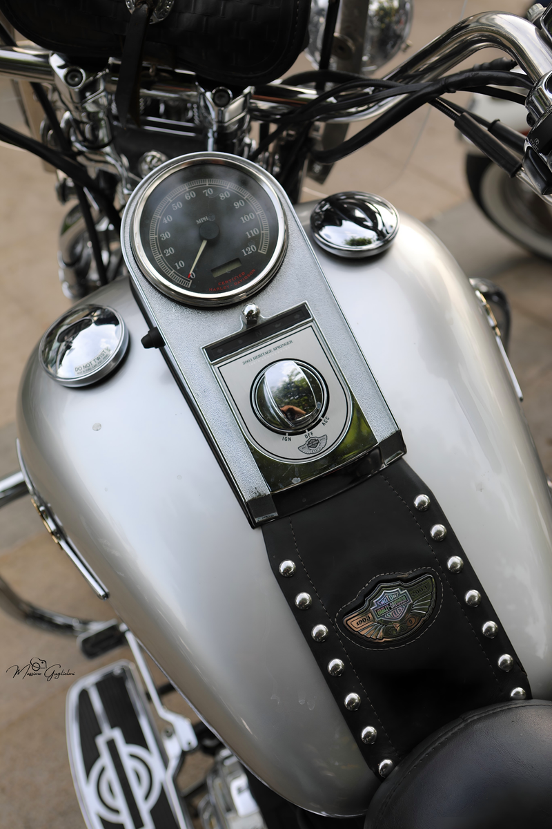 IL FASCINO DELLA HARLEY DAVIDSON