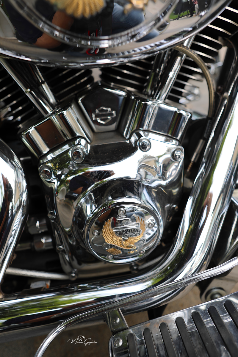 IL FASCINO DELLA HARLEY DAVIDSON