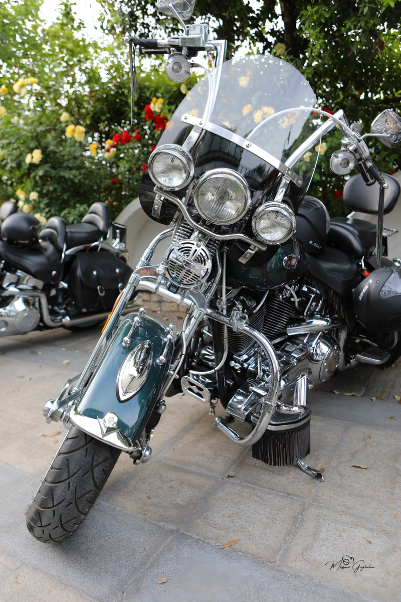 IL FASCINO DELLA HARLEY DAVIDSON
