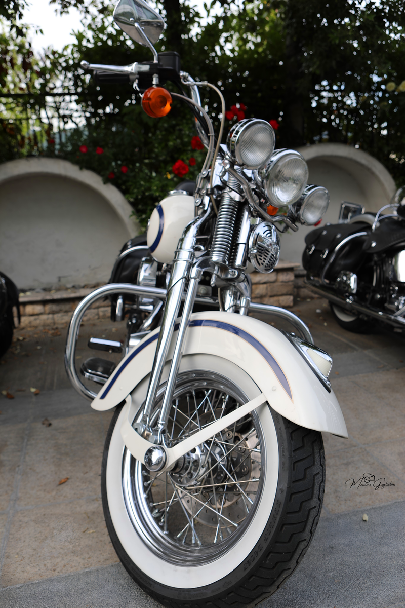 IL FASCINO DELLA HARLEY DAVIDSON